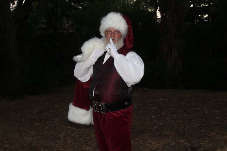 Gallery photo 3 of Santa George
