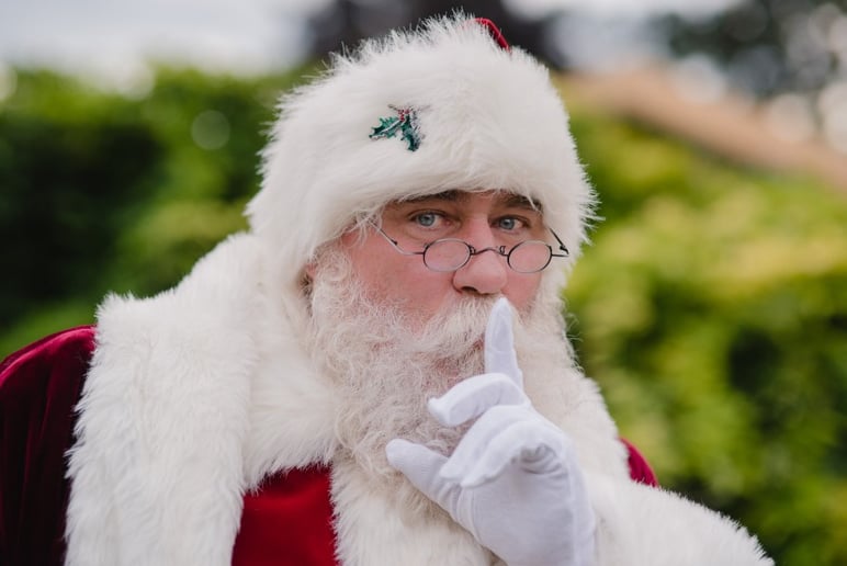 Gallery photo 17 of Cobourg Santa Claus