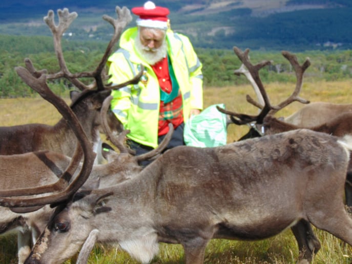 Gallery photo 3 of Santa Kenneth