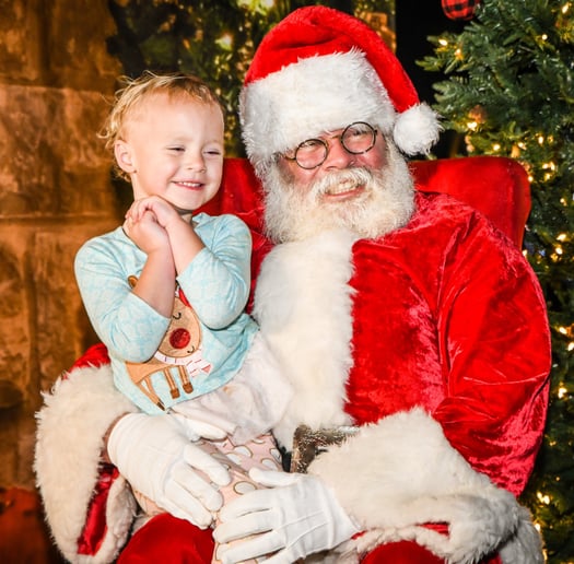 Gallery photo 11 of Santa Claus Sean