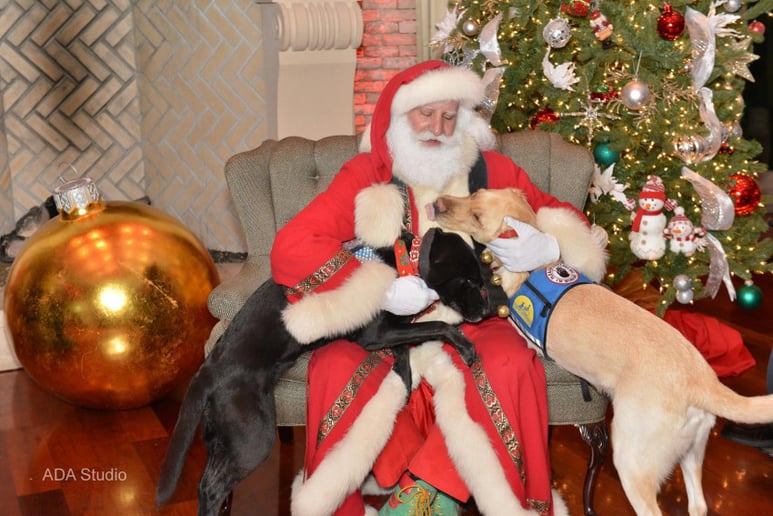 Gallery photo 10 of Copiague Santa Claus