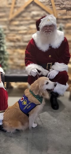 Gallery photo 4 of Santa Flies by Night
