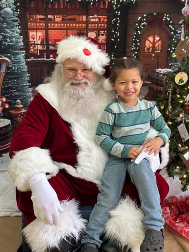Gallery photo 2 of Santa Flies by Night