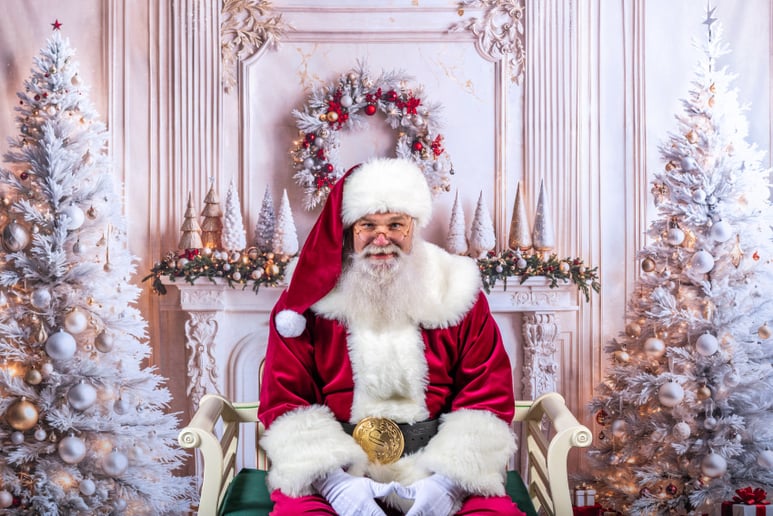 Gallery photo 1 of Santa Flies by Night