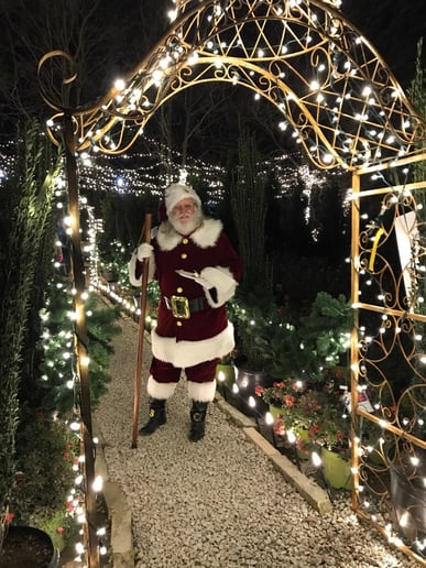 Gallery photo 9 of Santa's Coming!