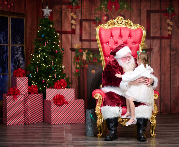 Gallery photo 3 of Santa Claus Ed