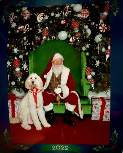 Gallery photo 16 of Santa Edward