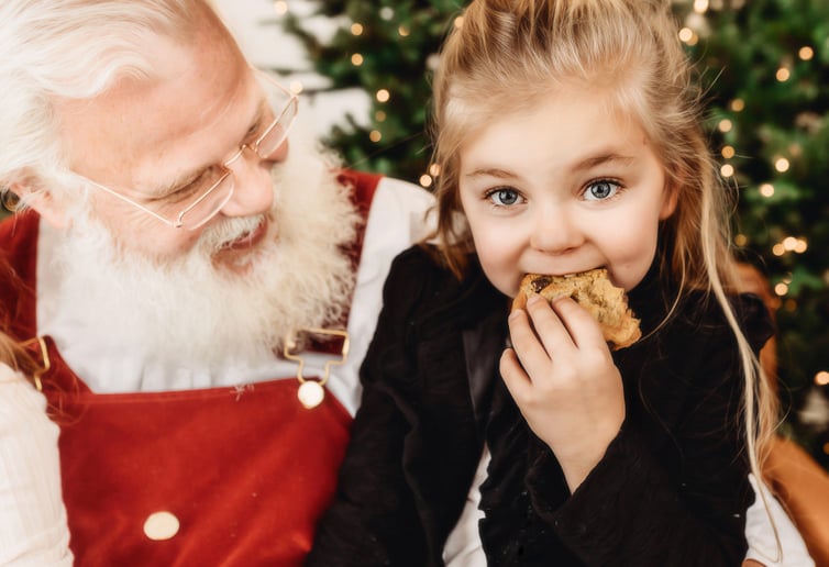 Gallery photo 6 of Santa Claus Darin