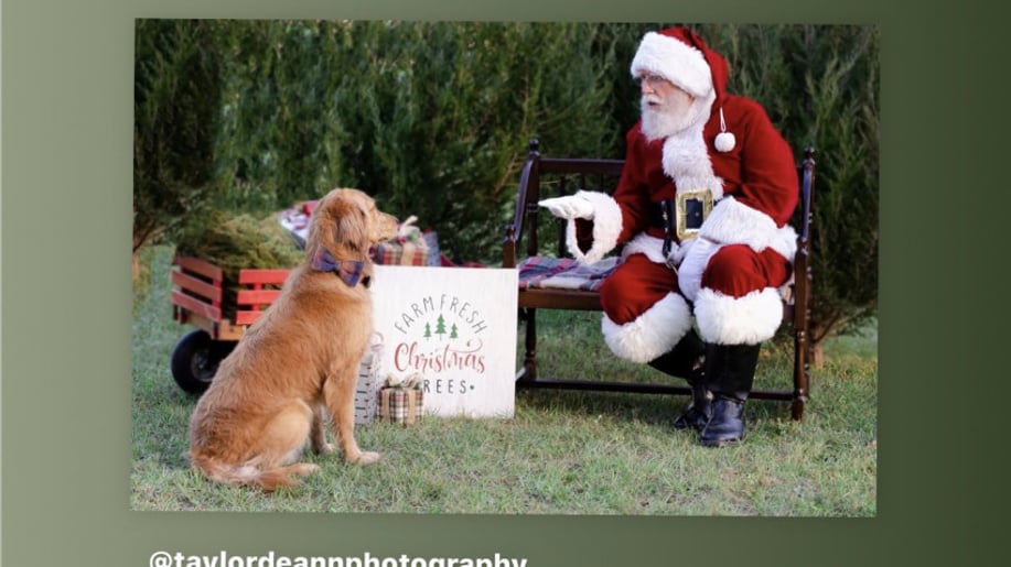 Gallery photo 5 of Santa Claus Richard