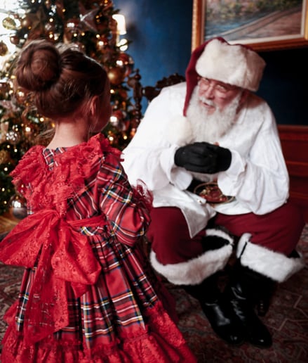 Gallery photo 8 of Santa Claus Gerry