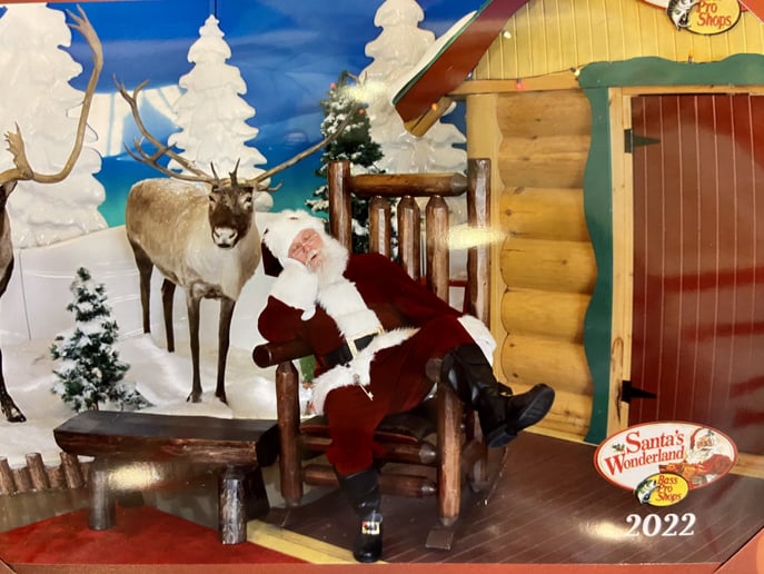 Gallery photo 8 of Santa Claus Gough
