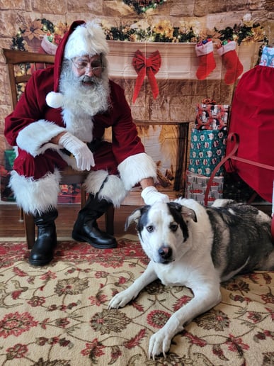 Gallery photo 3 of Santa Claus Ken