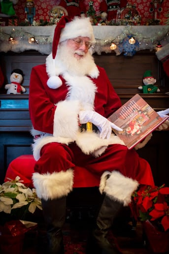 Gallery photo 2 of Santa Claus Michael