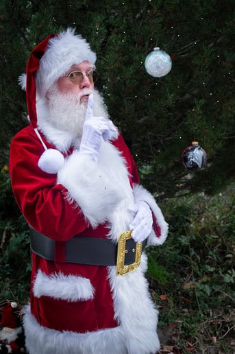 Gallery photo 3 of Santa Claus Michael