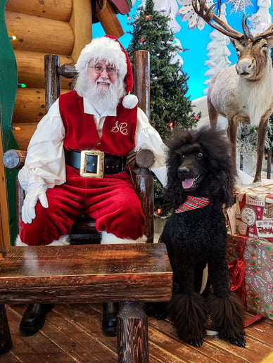 Gallery photo 4 of Santa Claus Roscoe