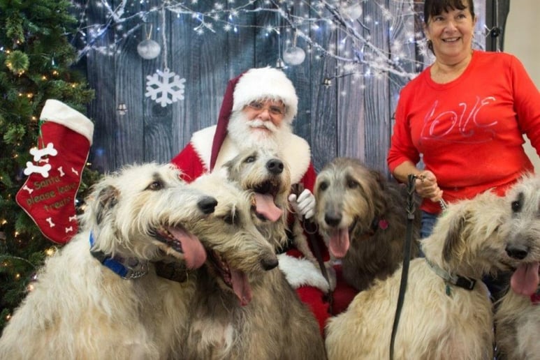 Gallery photo 12 of Santa Boaz