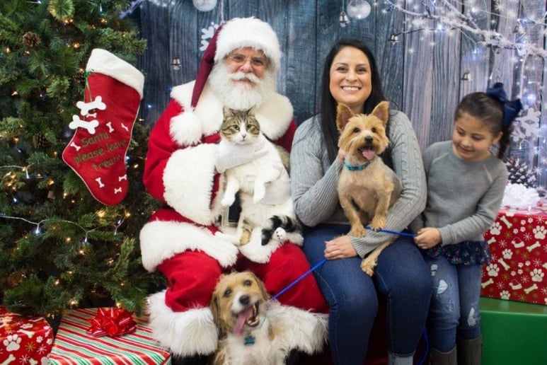 Gallery photo 13 of Santa Boaz