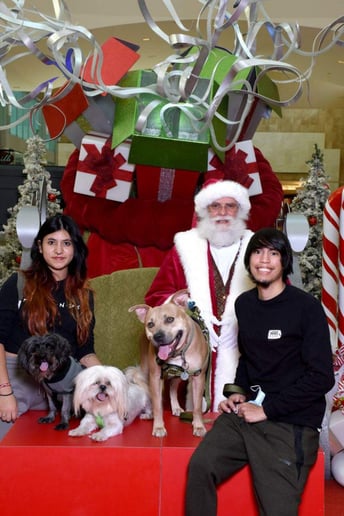 Gallery photo 6 of Santa Boaz