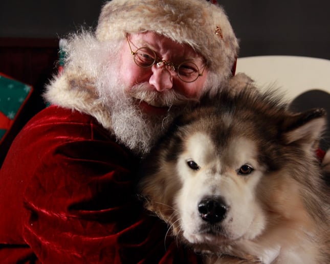 Gallery photo 8 of Santa Claus in Des Moines