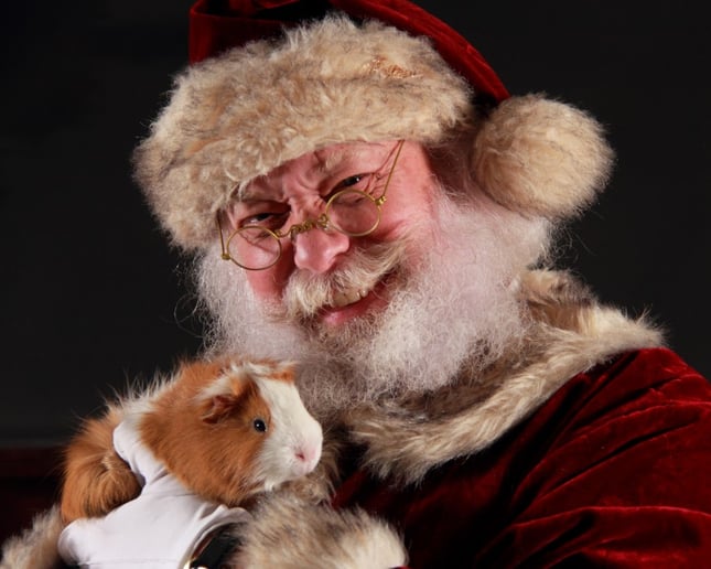 Gallery photo 10 of Santa Claus in Des Moines
