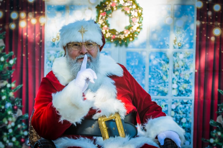 Gallery photo 1 of Nola Santa John