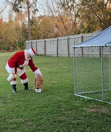 Gallery photo 4 of Bayou Santa