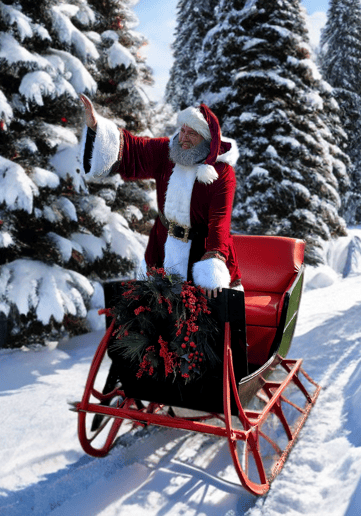 Gallery photo 4 of Santa Claus Jason