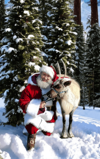 Gallery photo 1 of Santa Claus Jason