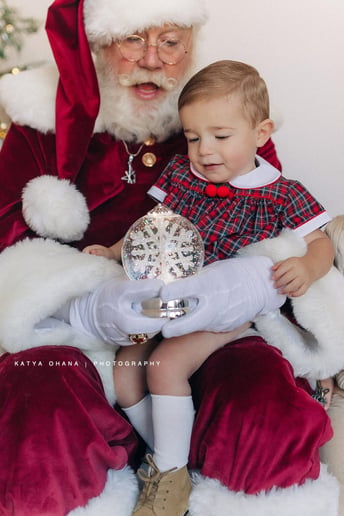 Gallery photo 1 of Santa Claus Layne