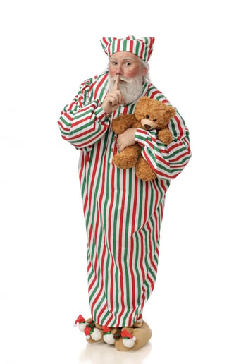 Gallery photo 11 of The Rock Star Santa