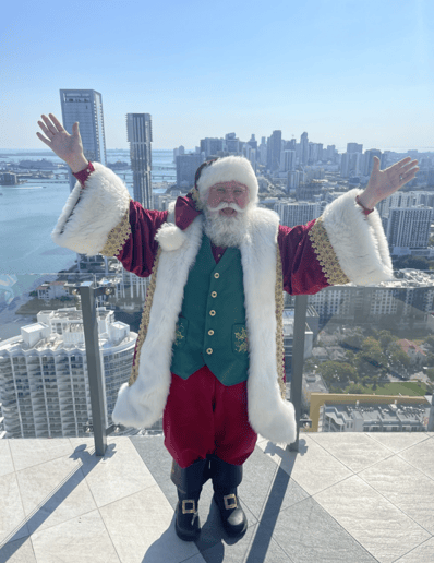 Gallery photo 3 of The Rock Star Santa