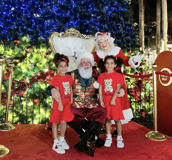 Gallery photo 2 of The Rock Star Santa