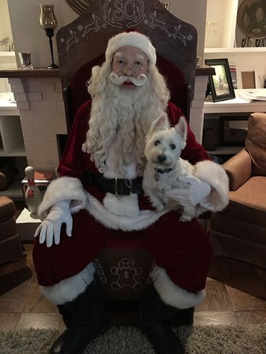 Gallery photo 16 of Santa Claus Visit