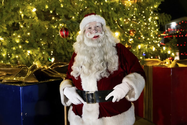 Gallery photo 21 of Santa Claus Visit