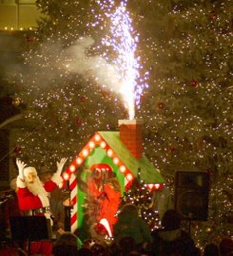 Gallery photo 23 of Santa Claus Visit
