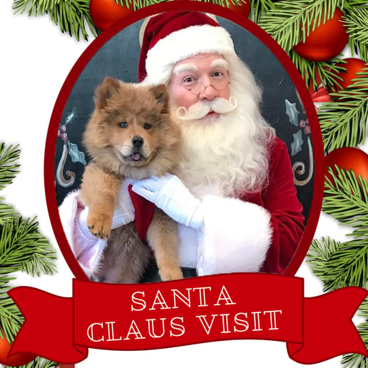Gallery photo 6 of Santa Claus Visit