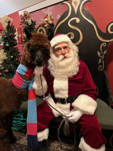 Gallery photo 2 of Santa Claus Visit
