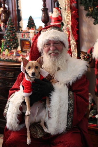 Gallery photo 5 of Santa Claus (St. Nicholas)