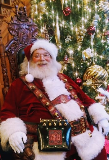 Gallery photo 2 of Santa Claus Macomb