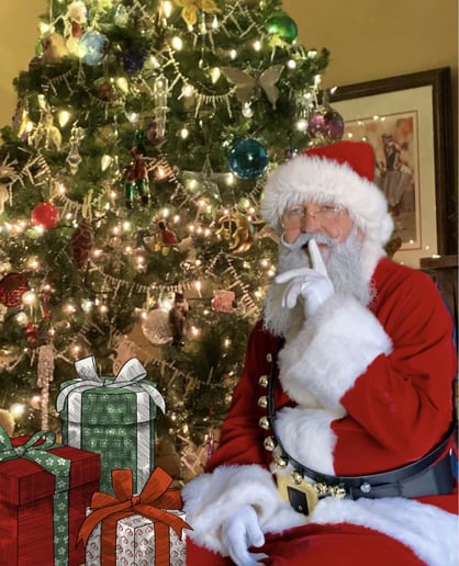 Gallery photo 1 of Santa Claus Jay