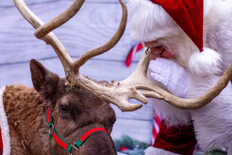 Gallery photo 1 of Santa Claus Smokey
