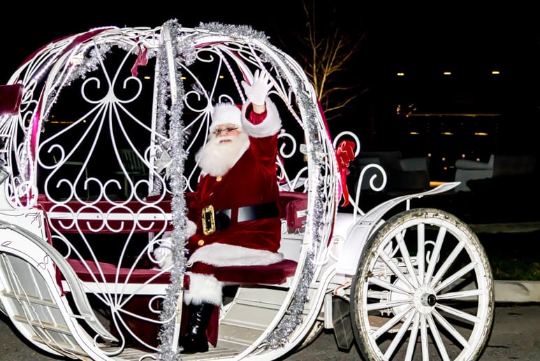 Gallery photo 3 of Santa Claus Smokey