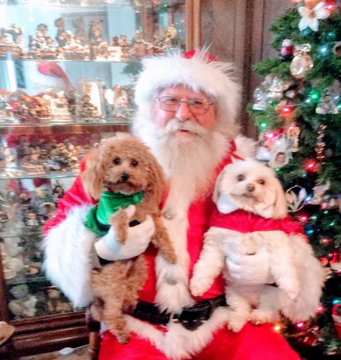 Gallery photo 3 of Santa Jerry