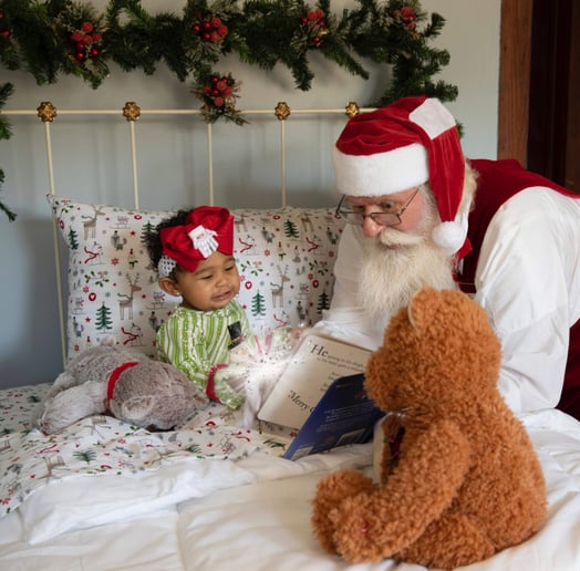 Gallery photo 7 of Santa Jerry