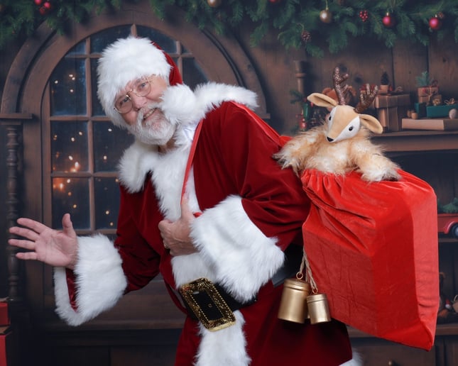 Gallery photo 6 of Santa Claus Memories