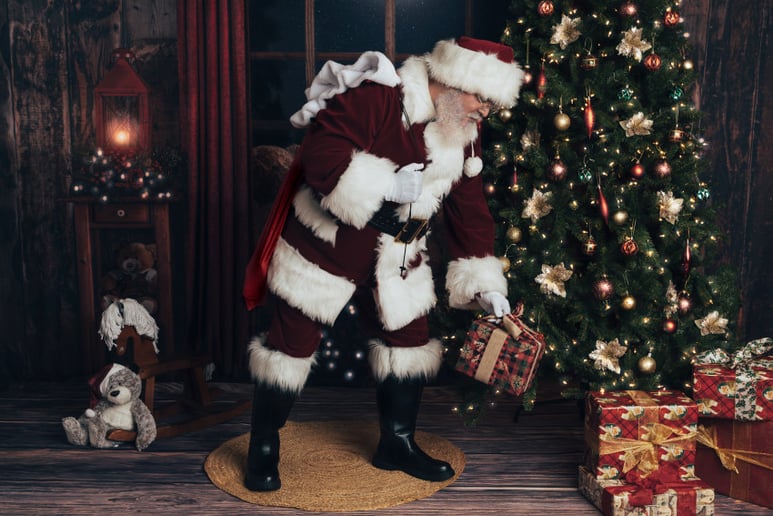 Gallery photo 4 of Santa Claus Christian/Easter Bunny