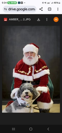 Gallery photo 1 of Santa Claus Mike