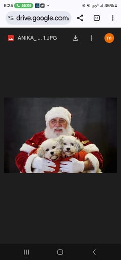 Gallery photo 2 of Santa Claus Mike