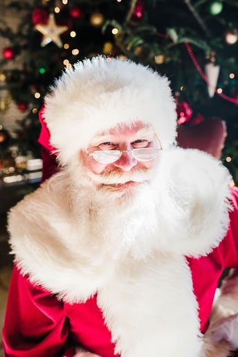 Gallery photo 8 of Santa Vern