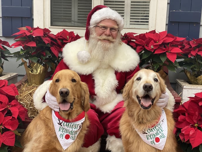 Gallery photo 13 of Santa Vern